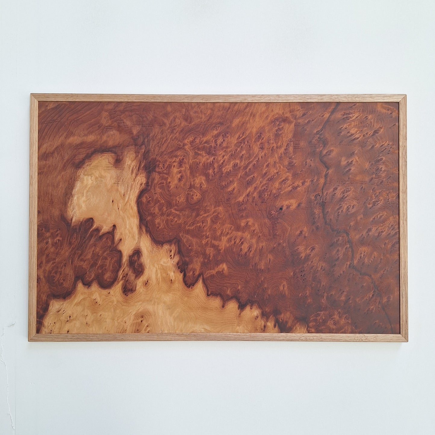 Tableau loupe de Sequoia