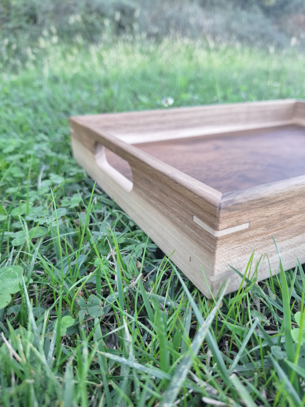 Plateau loupe de Camphrier