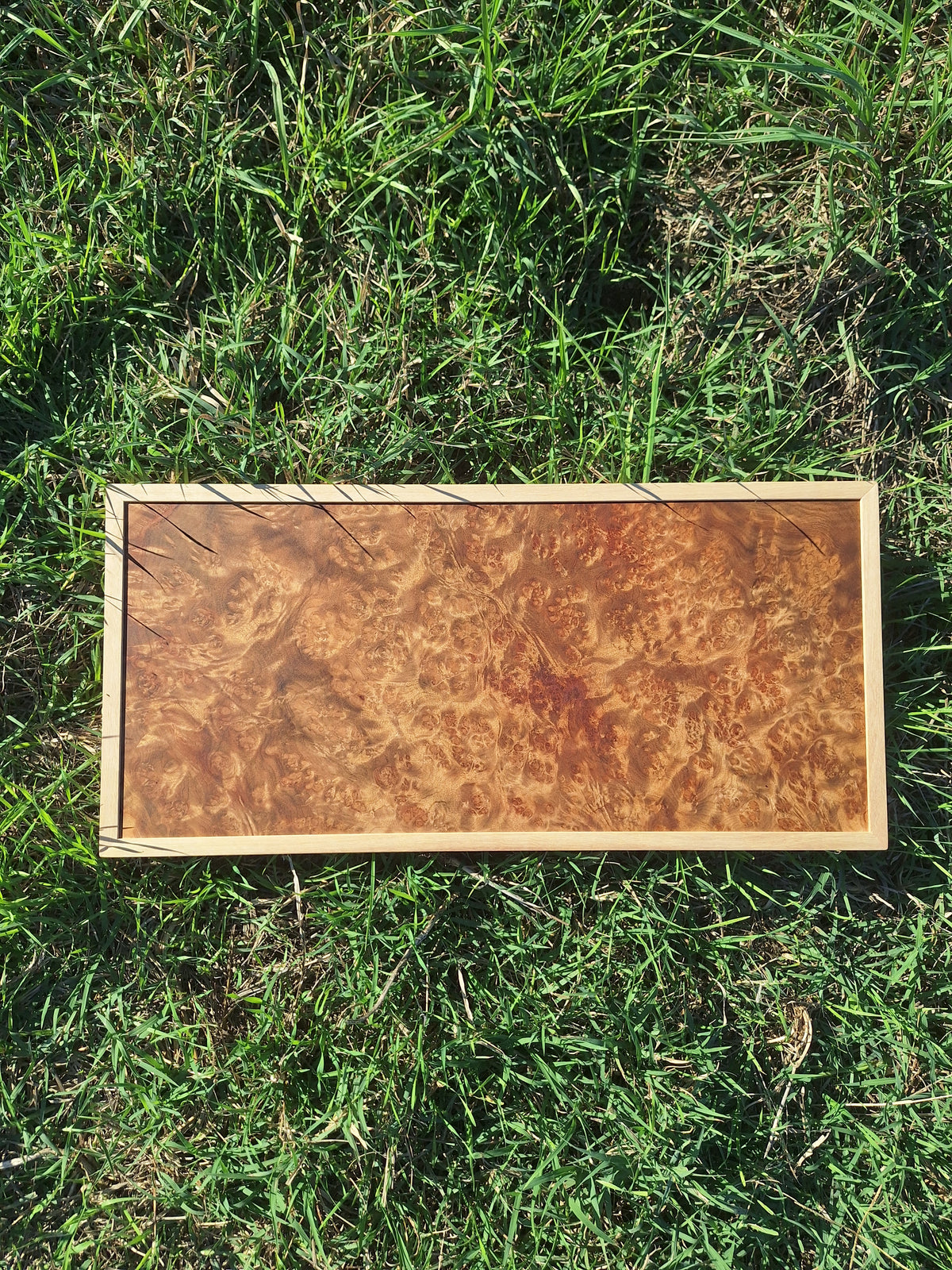 Madrona Gold wall art