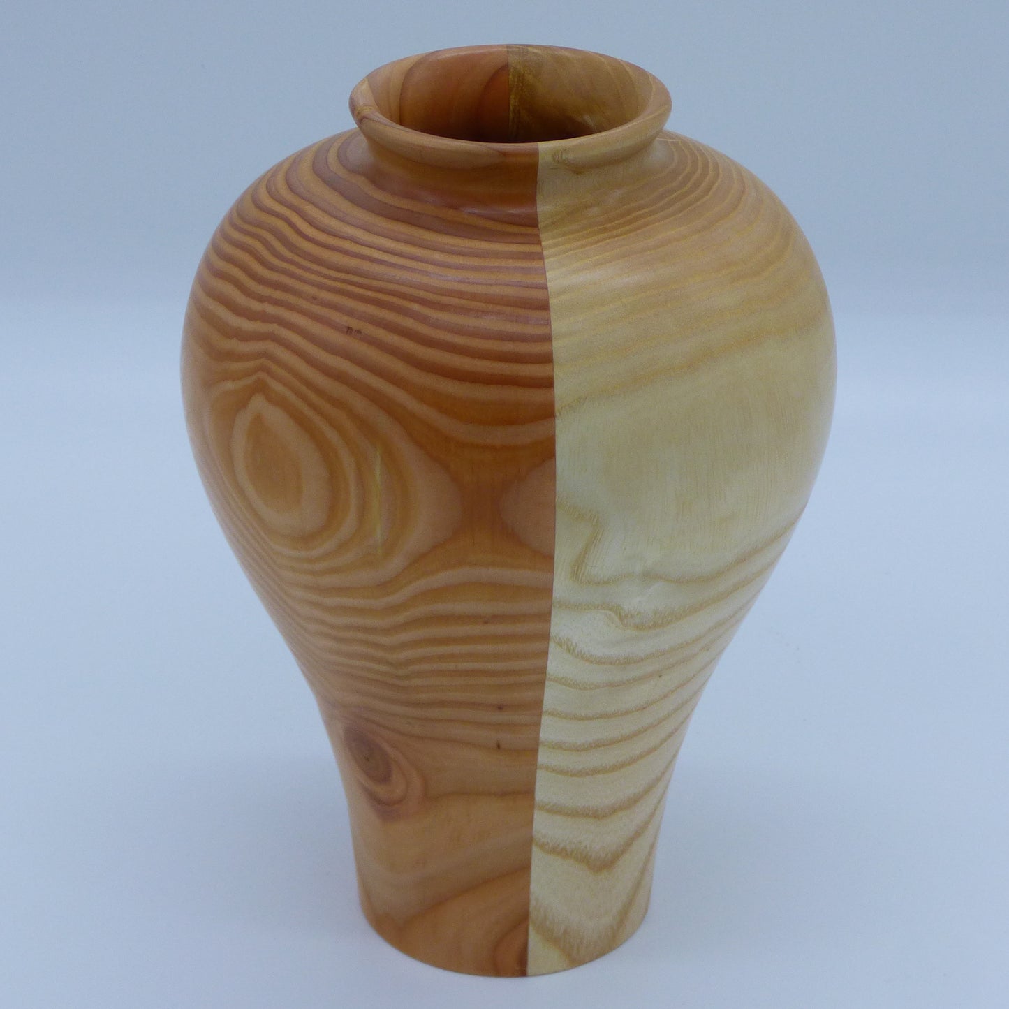 Vase Hybride