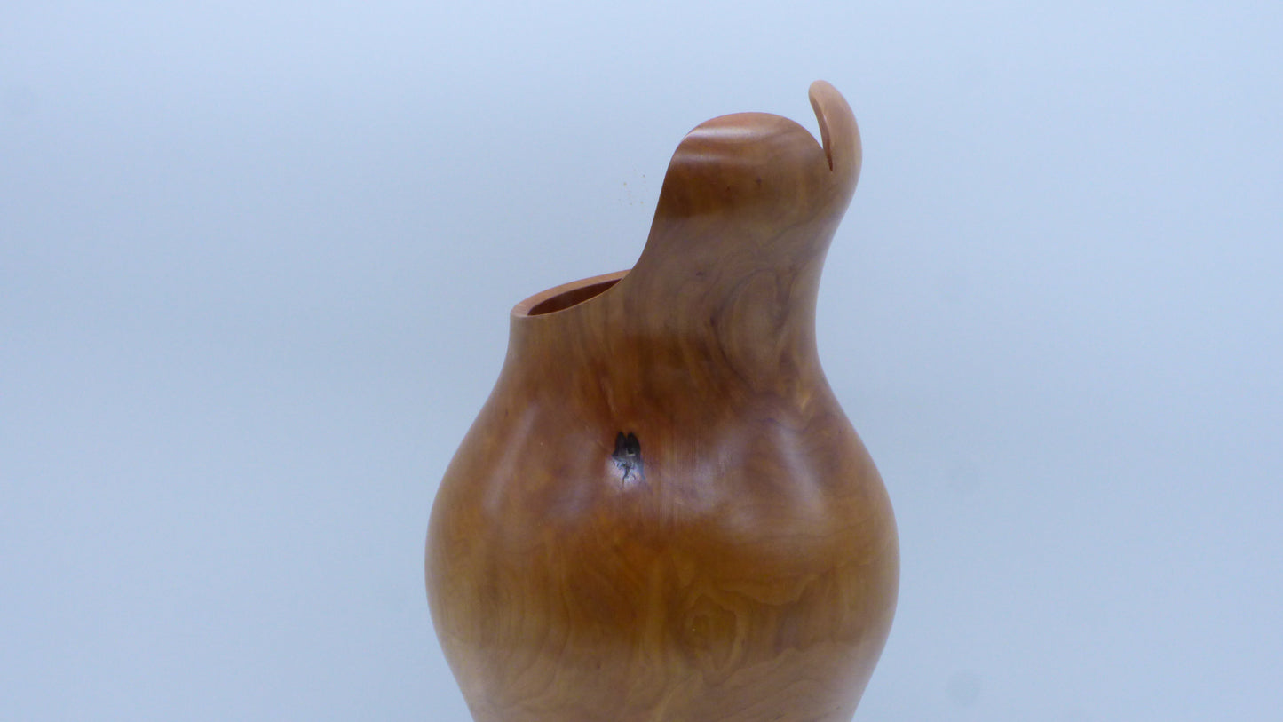 Vase Voluptueux