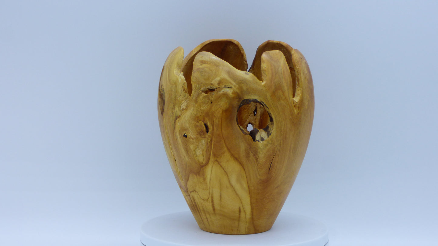 Vase Naturel Olivier
