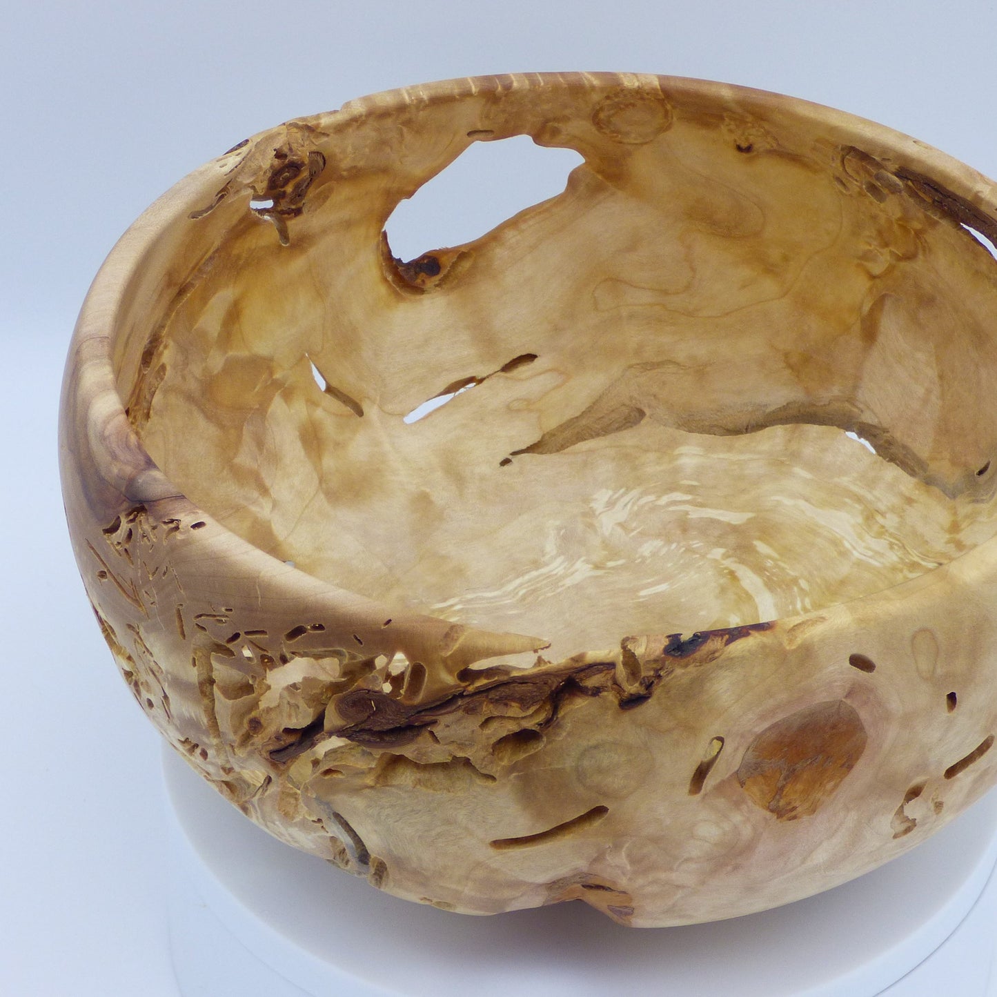 Bol en loupe de bouleau