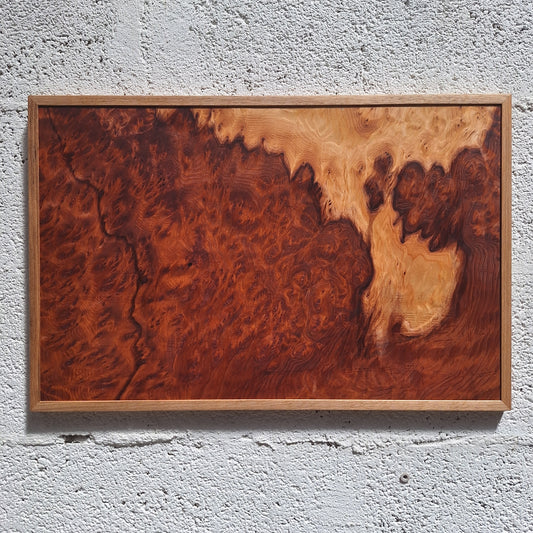Tableau loupe de Sequoia