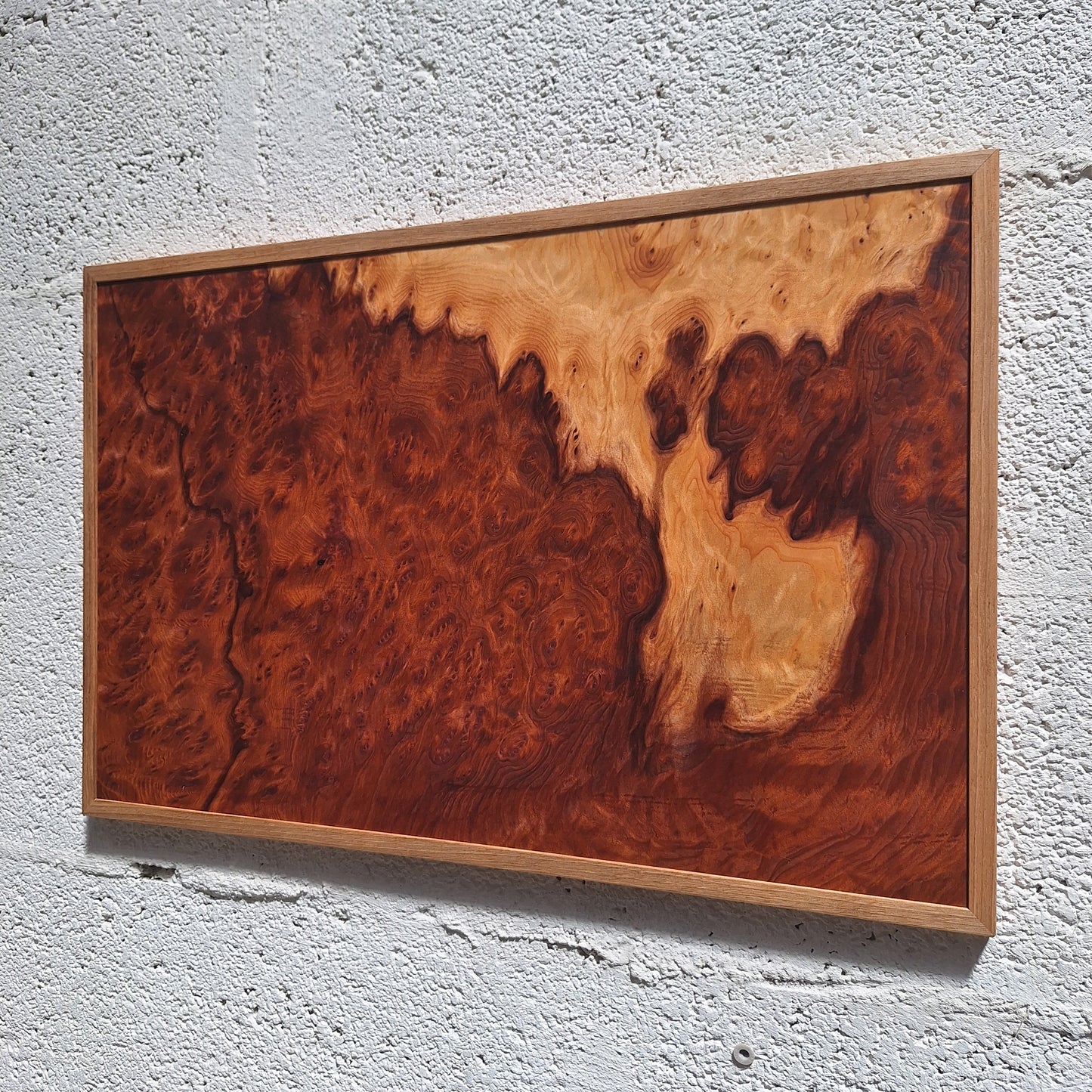 Tableau loupe de Sequoia