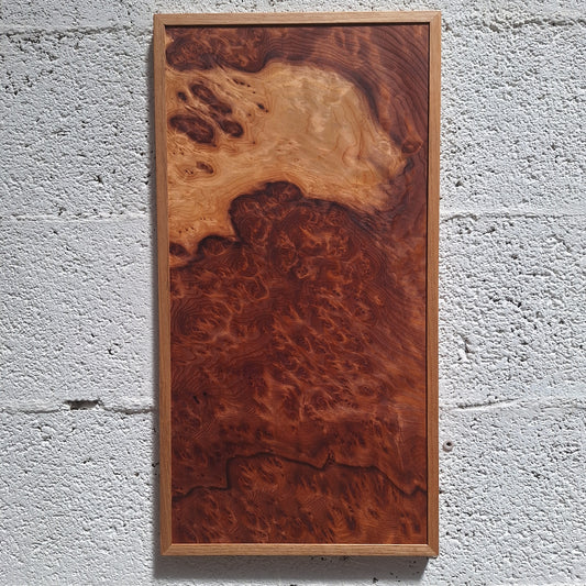 Tableau loupe de Séquoia