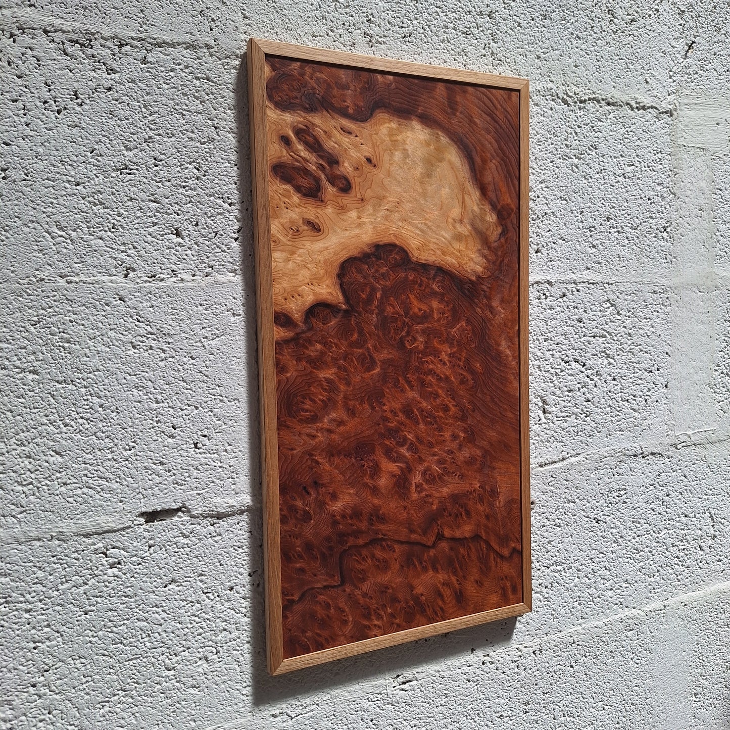 Sequoia burl wall art