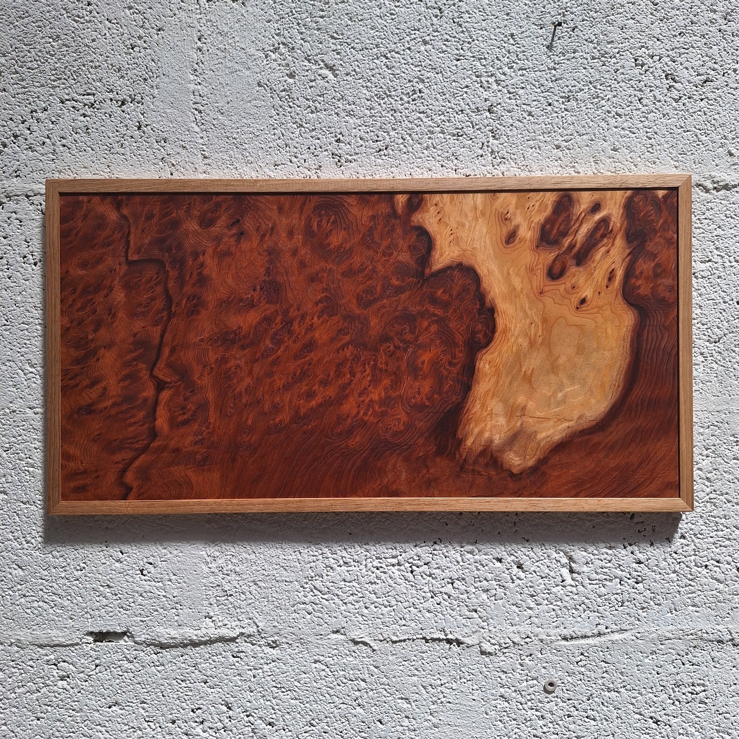 Sequoia burl wall art