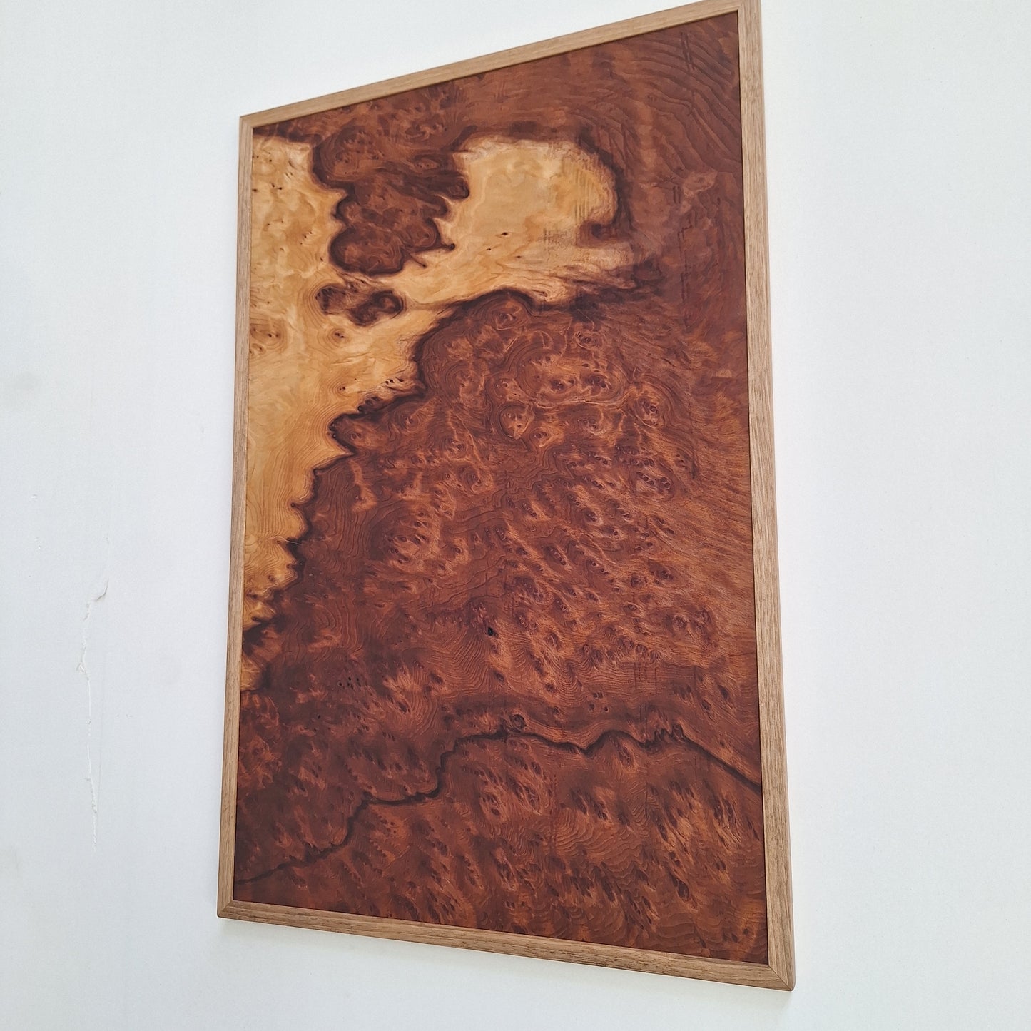 Tableau loupe de Sequoia