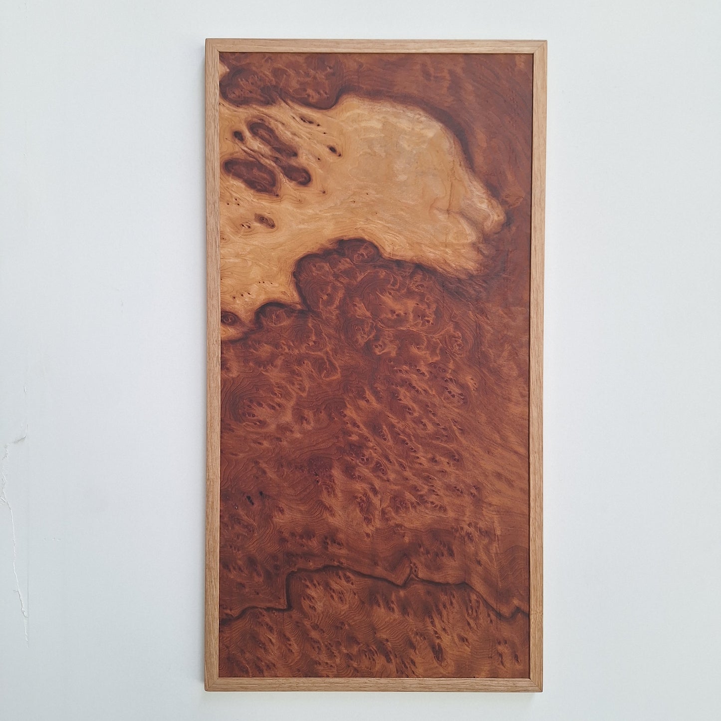 Sequoia burl wall art