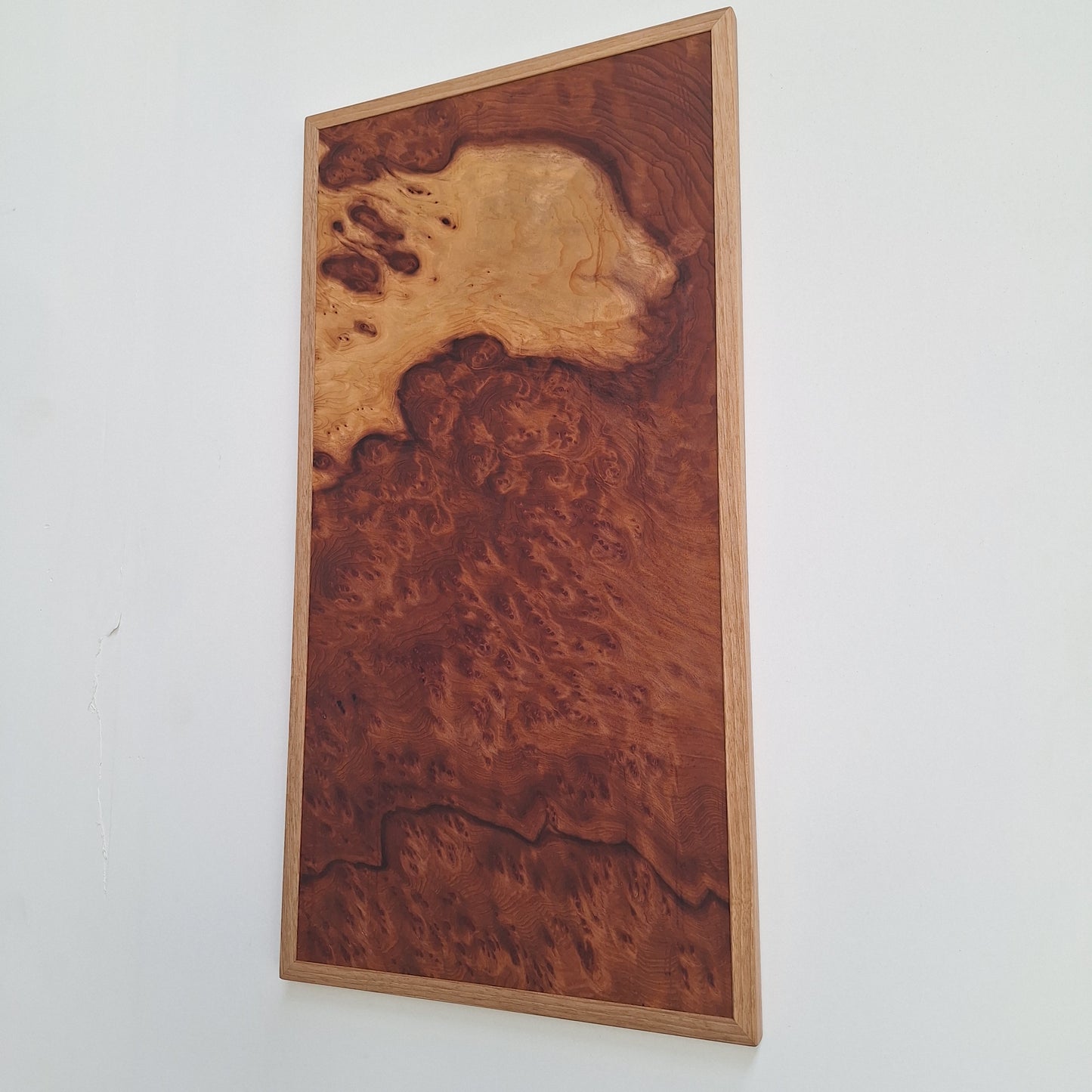 Sequoia burl wall art