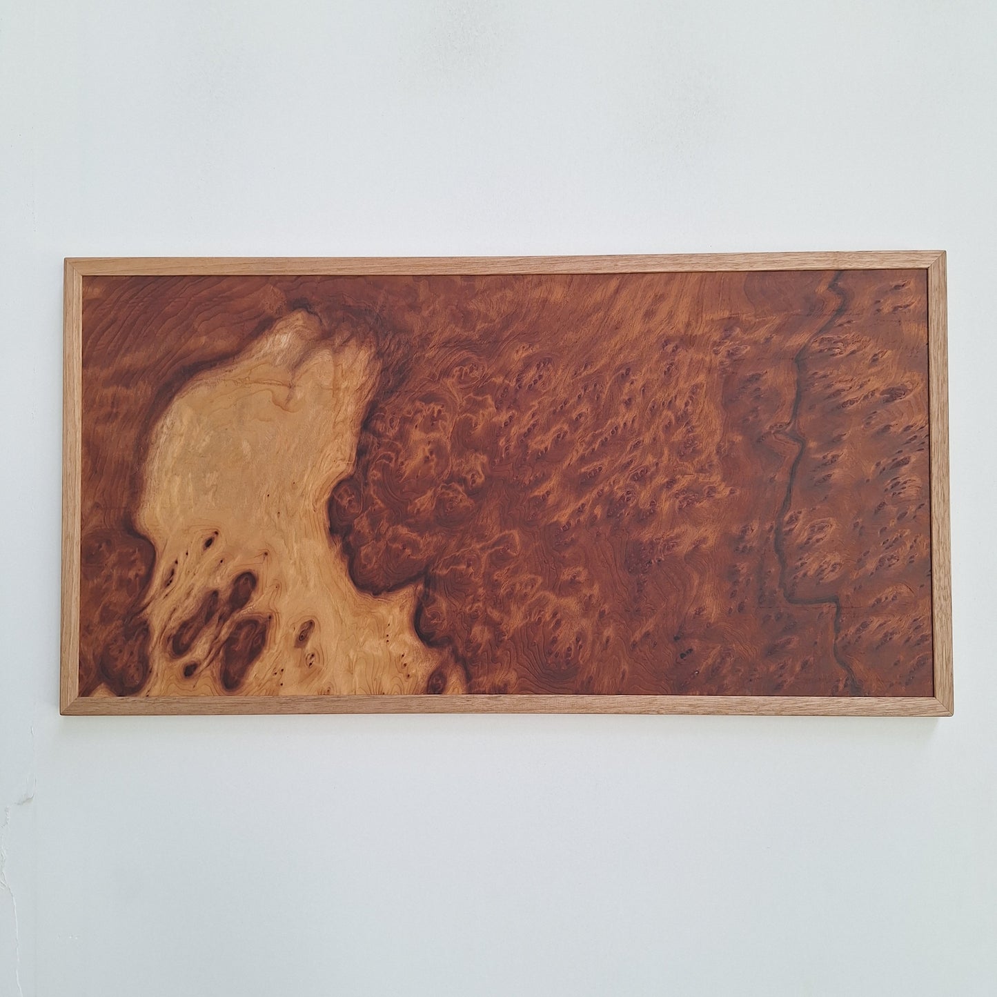 Sequoia burl wall art
