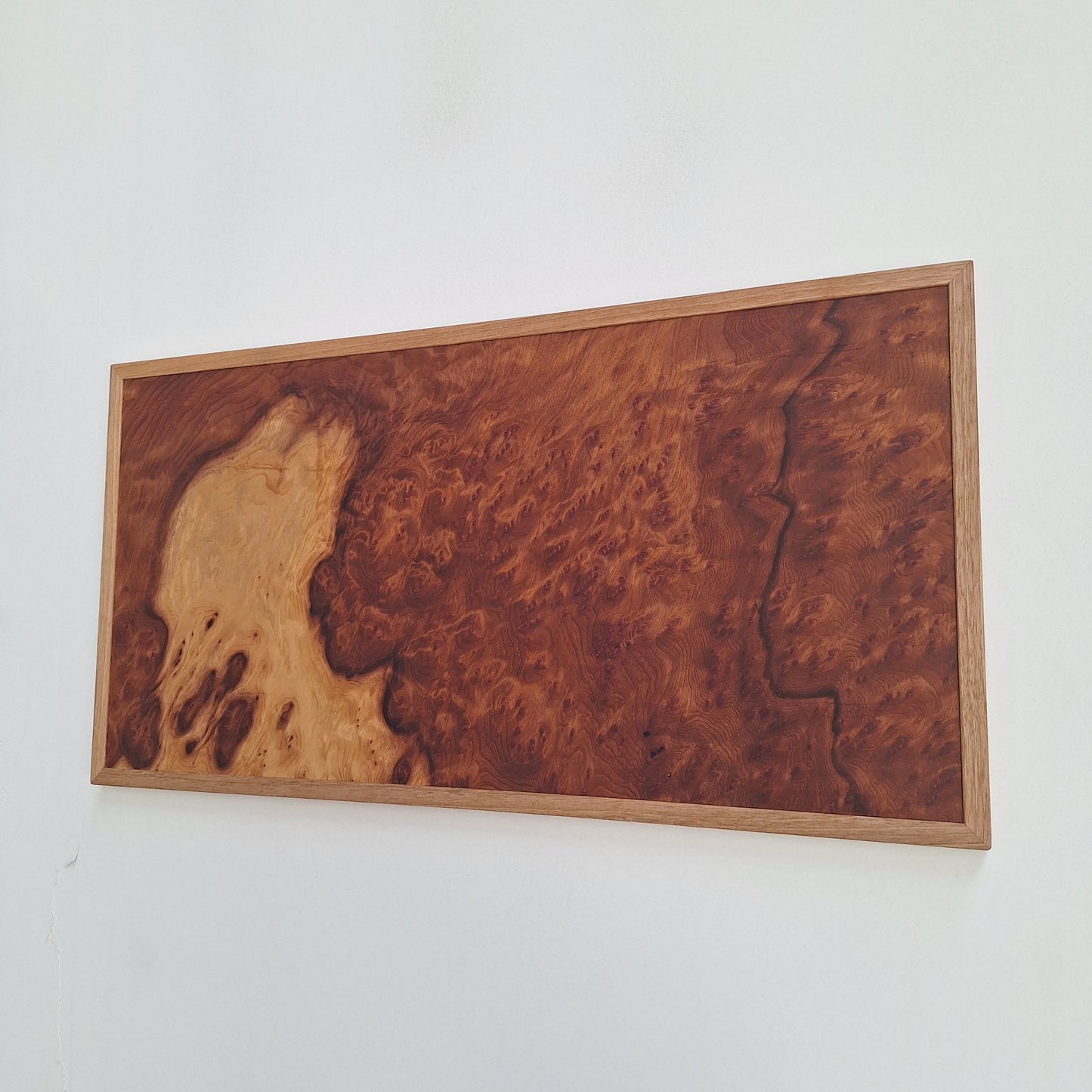 Sequoia burl wall art