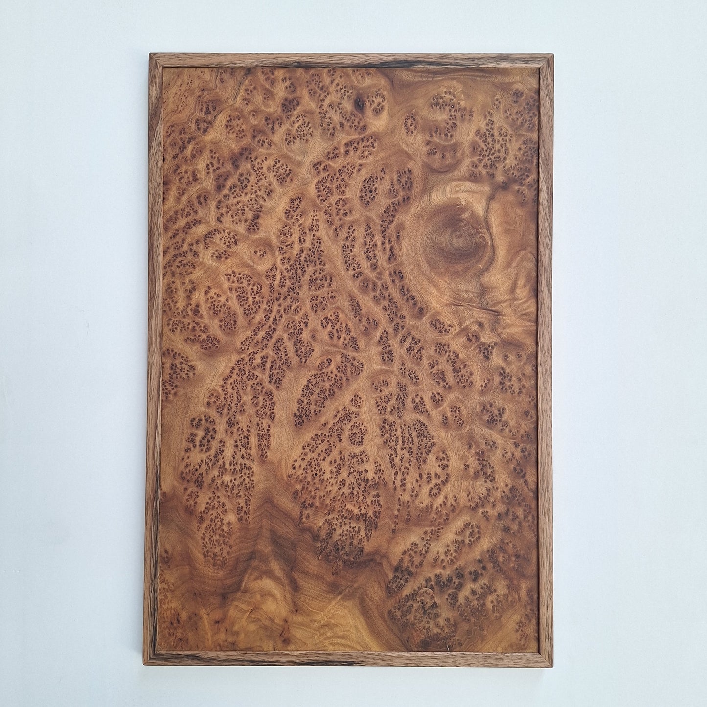 Tableau loupe de Camphrier