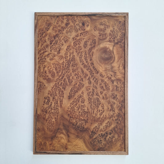 Tableau loupe de Camphrier