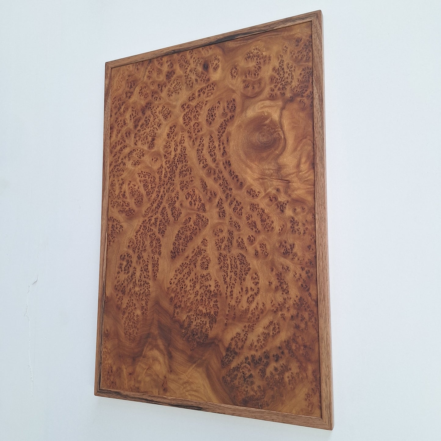 Tableau loupe de Camphrier