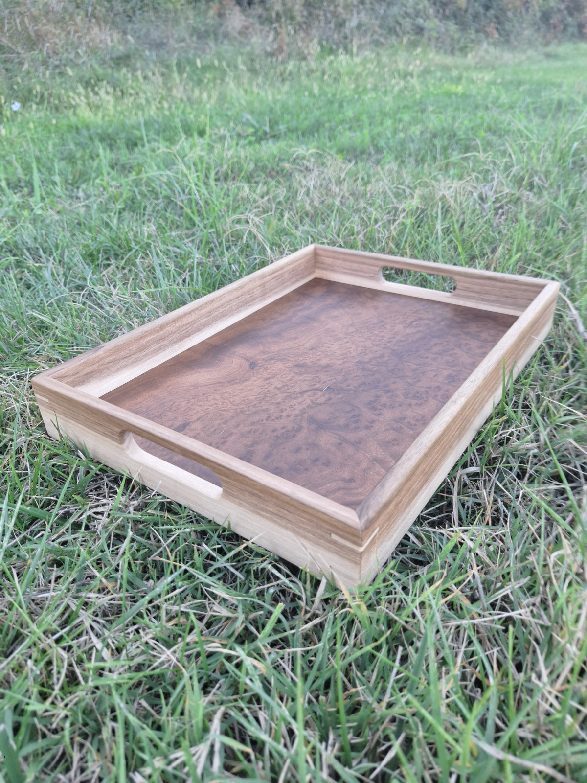 Plateau loupe de Camphrier
