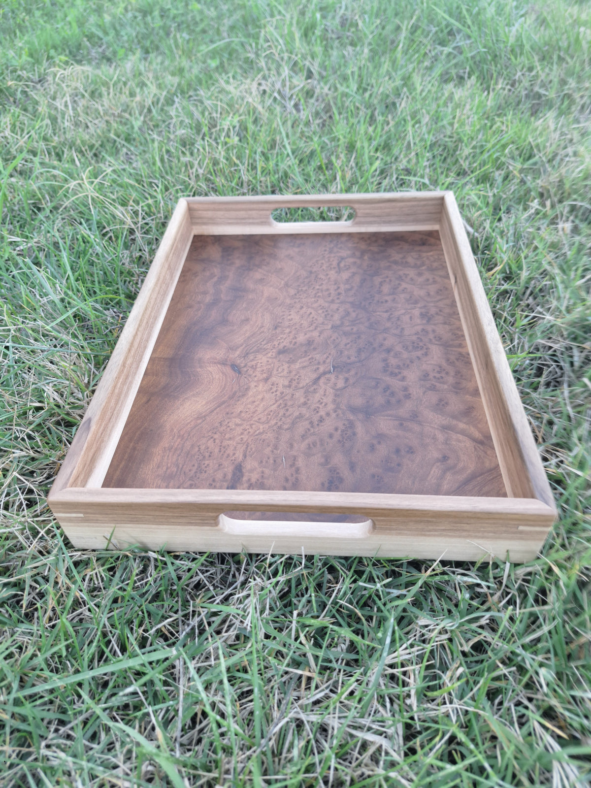 Plateau loupe de Camphrier