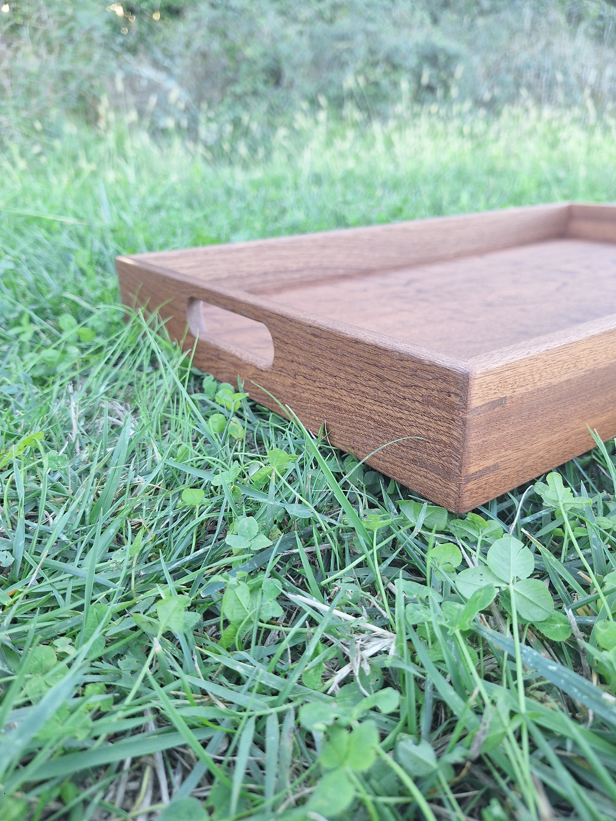 Sipo Mahogany Tray
