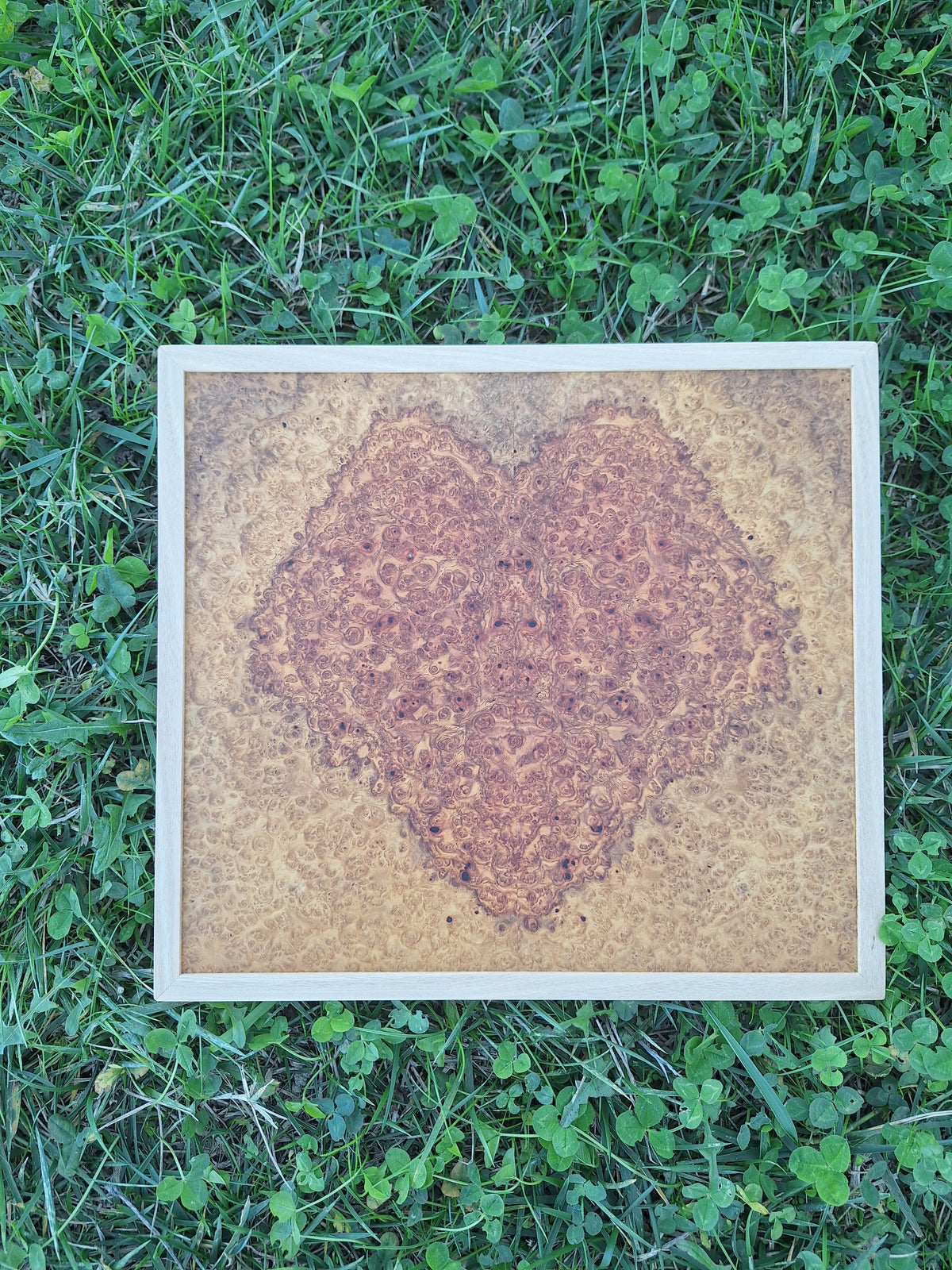 Amboyna heart wall art