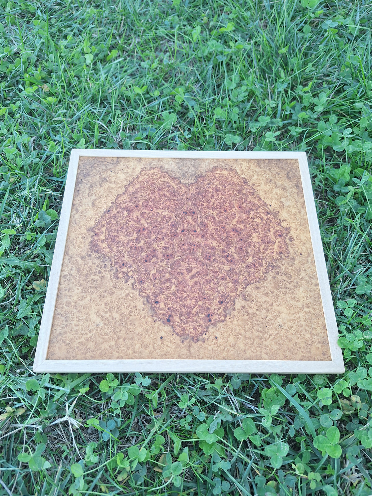 Amboyna heart wall art