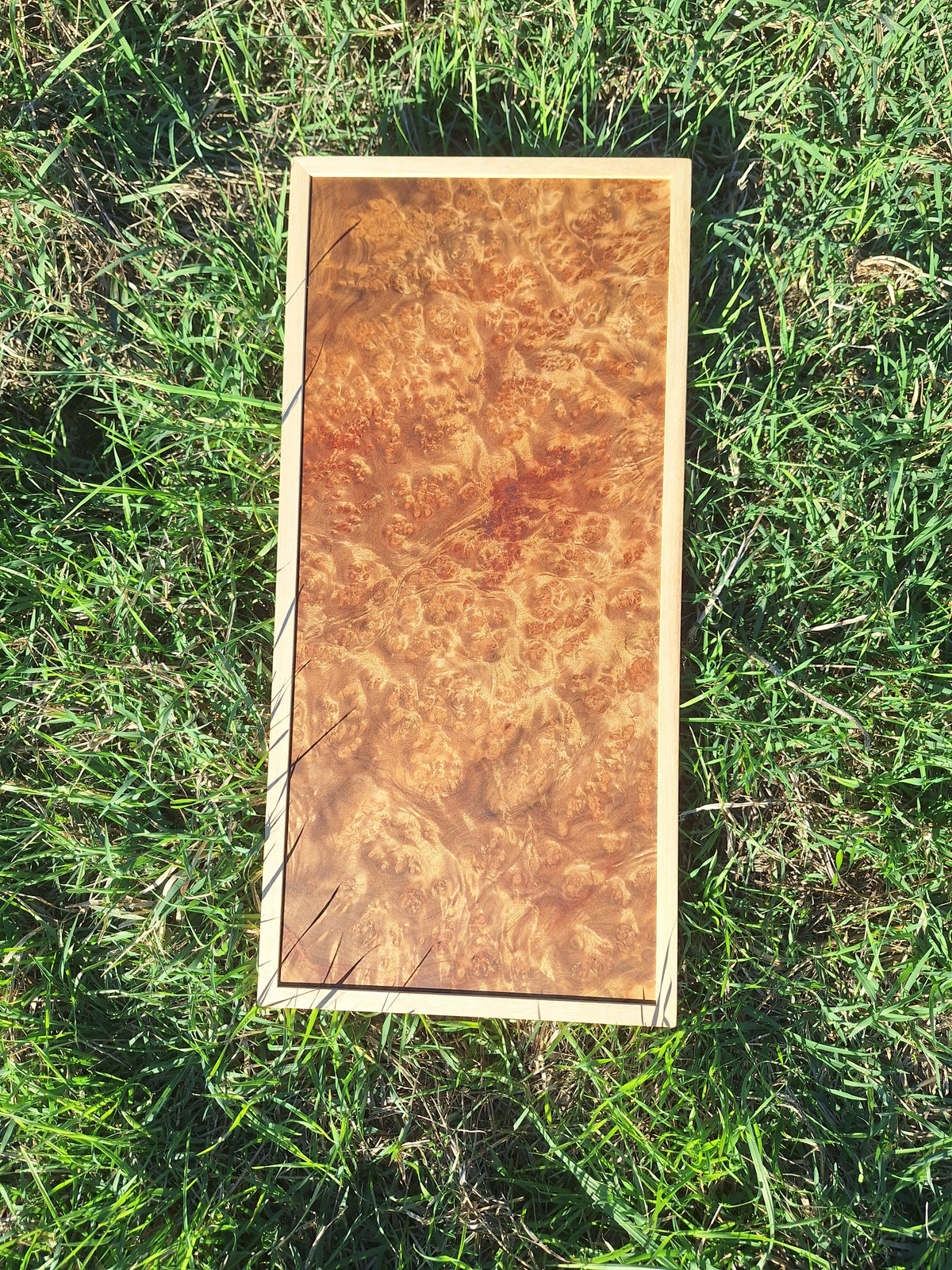 Madrona Gold wall art
