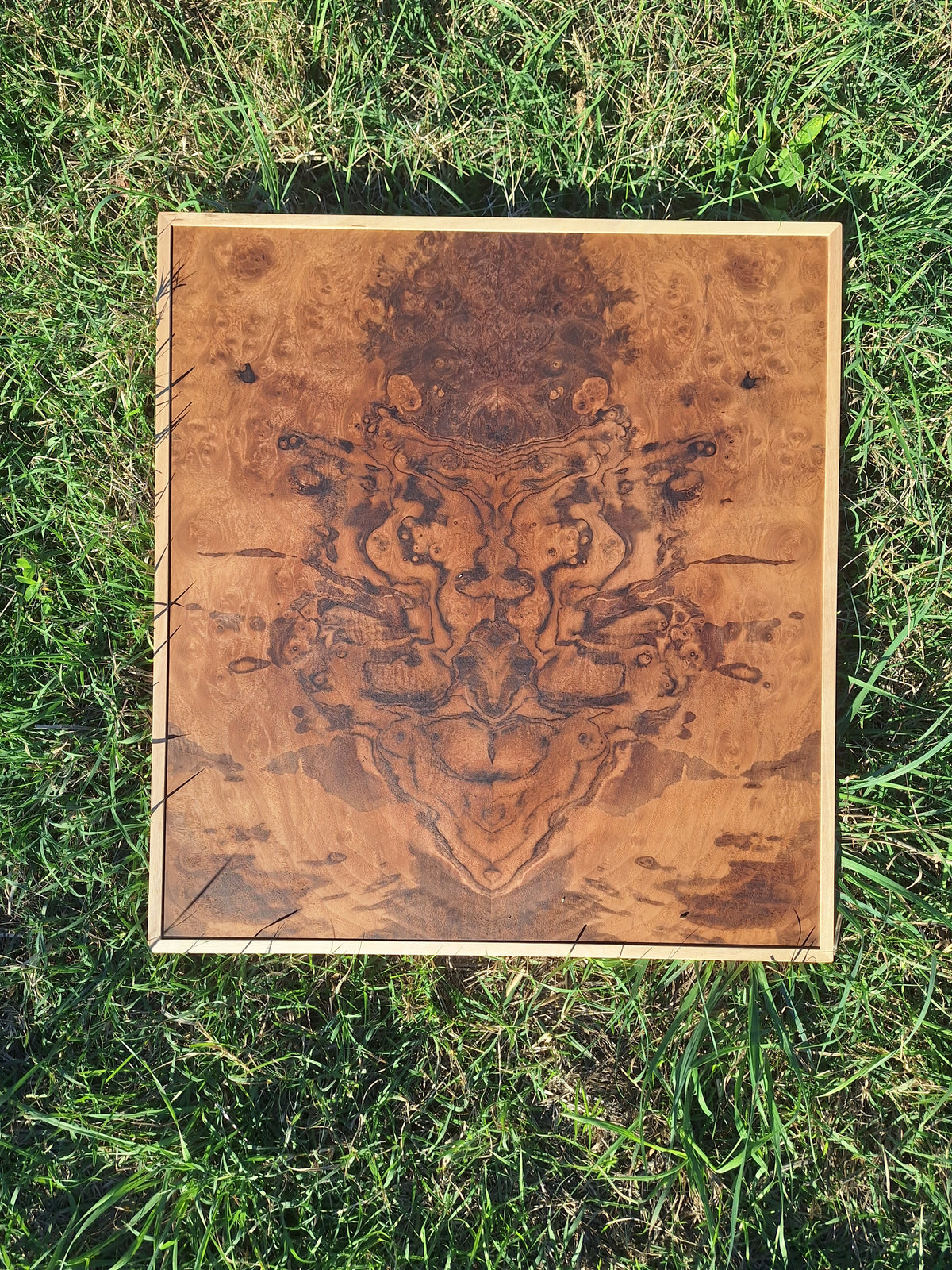 Walnut burl wall art