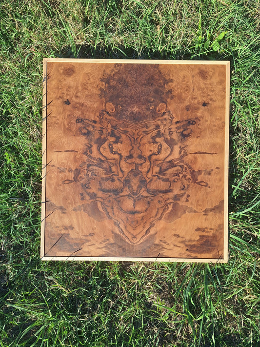 Walnut burl wall art