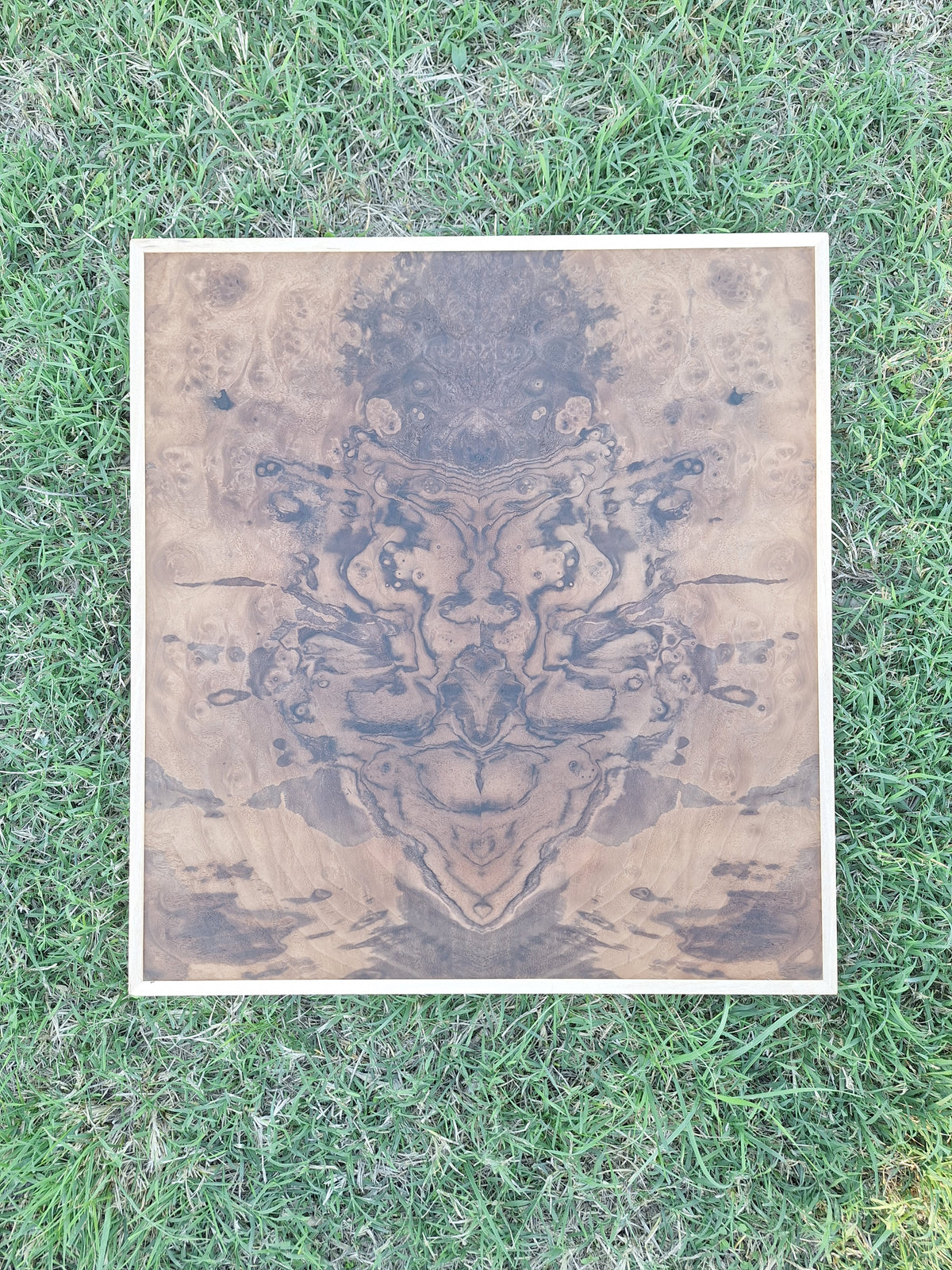 Walnut burl wall art