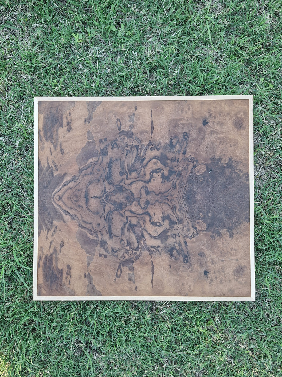 Walnut burl wall art