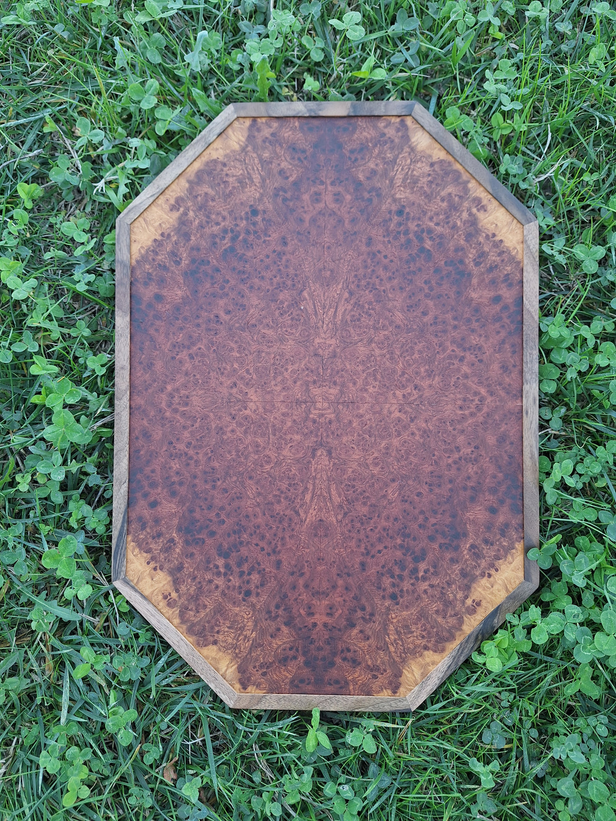 Amboyna wall art